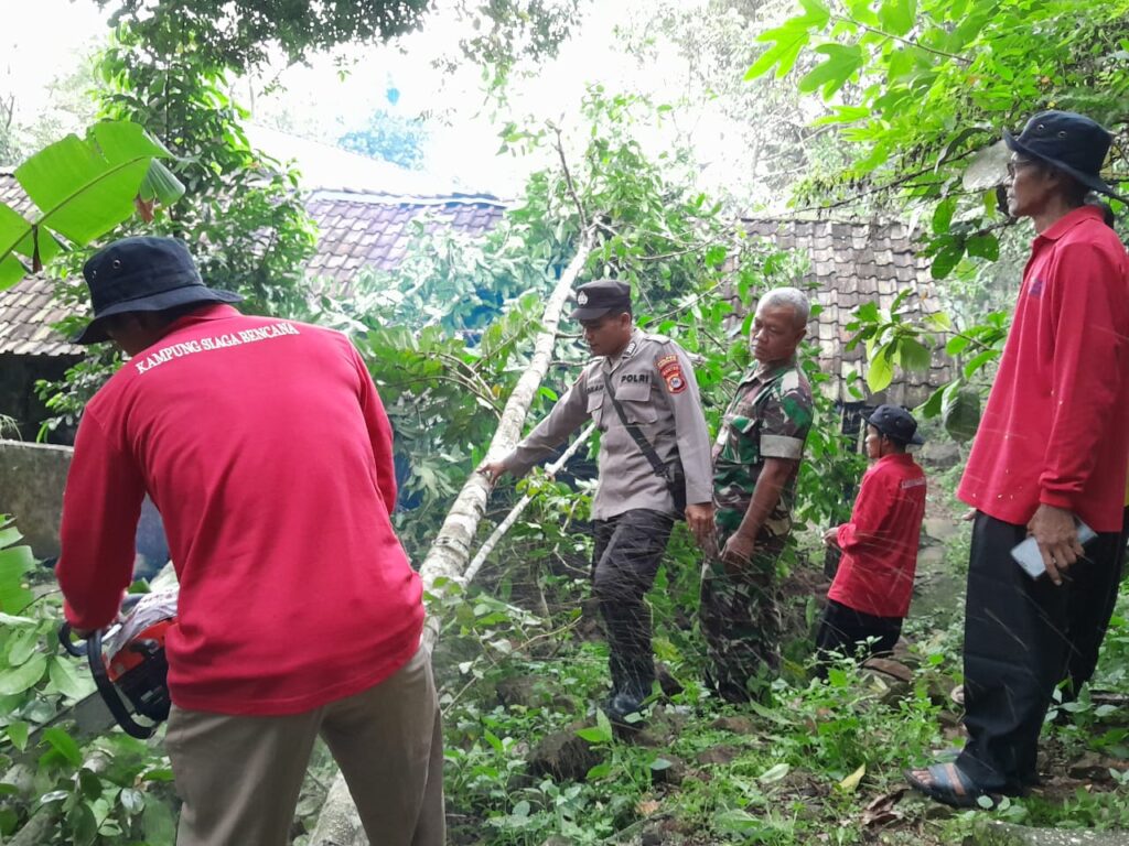 Kolaborasi Antara Polsek Pulosari, Koramil Jiput, dan Masyarakat Evakuasi Pohon Tumbang yang Menimpa Rumah Warga 8 WhatsApp Image 2024 04 19 at 22.14.06