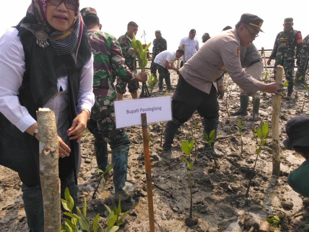 WhatsApp Image 2024 05 22 at 11.20.24