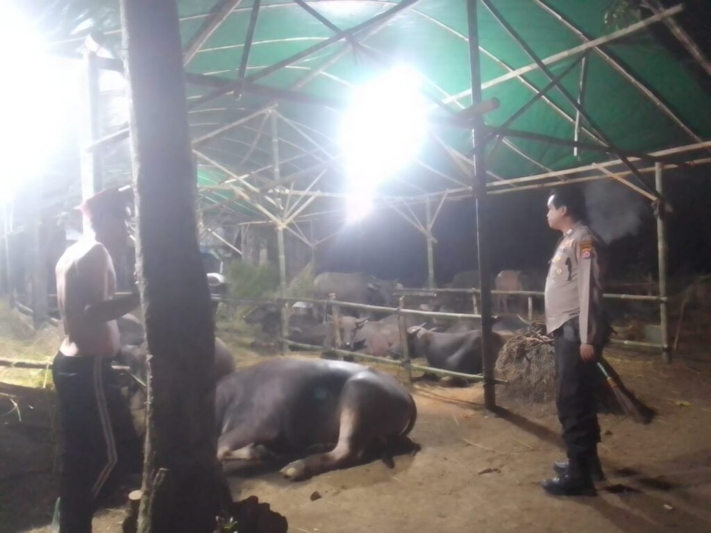 WhatsApp Image 2024 06 02 at 16.38.25