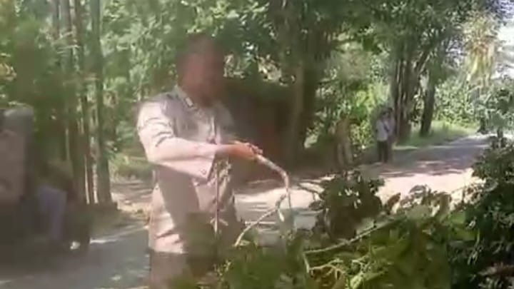 WhatsApp Image 2024 06 04 at 22.29.25