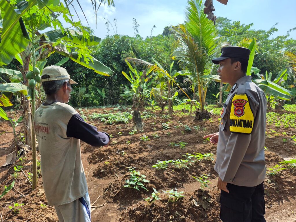 Dukung Ketahanan Pangan, Bhabinkamtibmas Polsek Patia Sambangi Petani dan Peternak di Desa Idaman 3 WhatsApp Image 2025 06 19 at 09.36.30