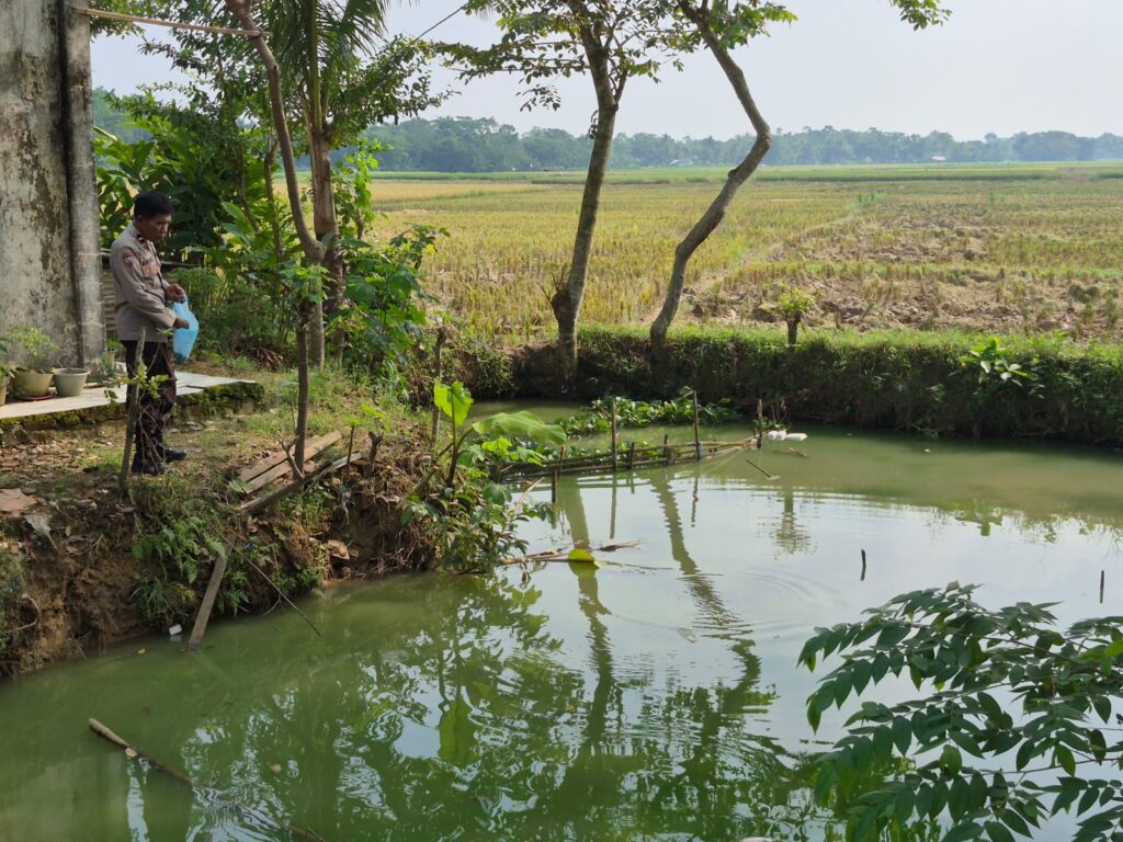 Dukung Swasembada Pangan, Bhabinkamtibmas Polsek Patia Sambangi Pembudi Daya Ikan Nila di Desa Idaman 2 WhatsApp Image 2025 06 23 at 14.31.40
