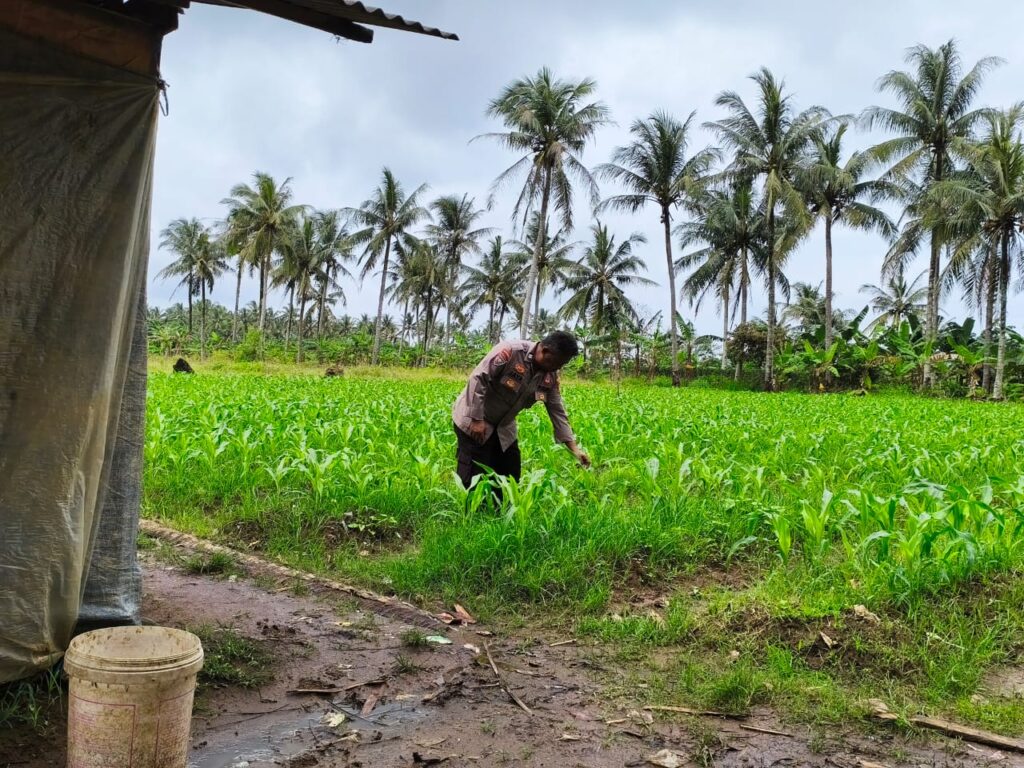 WhatsApp Image 2026 02 26 at 11.07.38