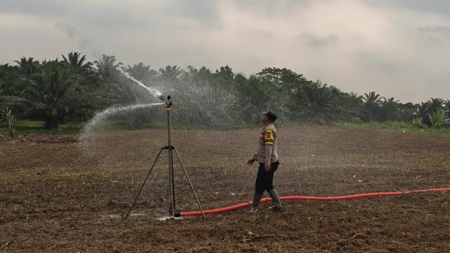Dukung Ketahanan Pangan, Polsek Munjul Monitoring Pertumbuhan Jagung dan Sistem Pengairan 4 MConverter.eu WhatsApp Image 2026 06 16 at 16.58.40