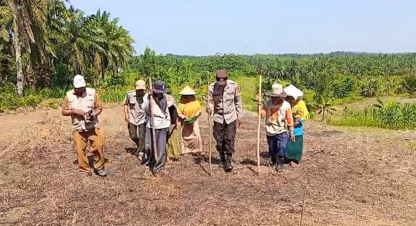 Polsek Cikeusik Hadir untuk Petani, Penanaman Jagung Hibrida Program CPCL 2026 Dorong Produktivitas Pertanian 10 jagung